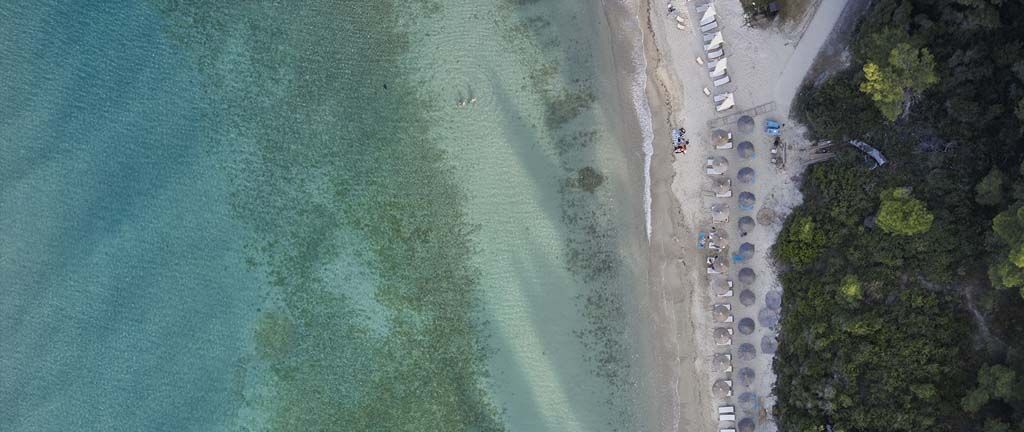 The beach